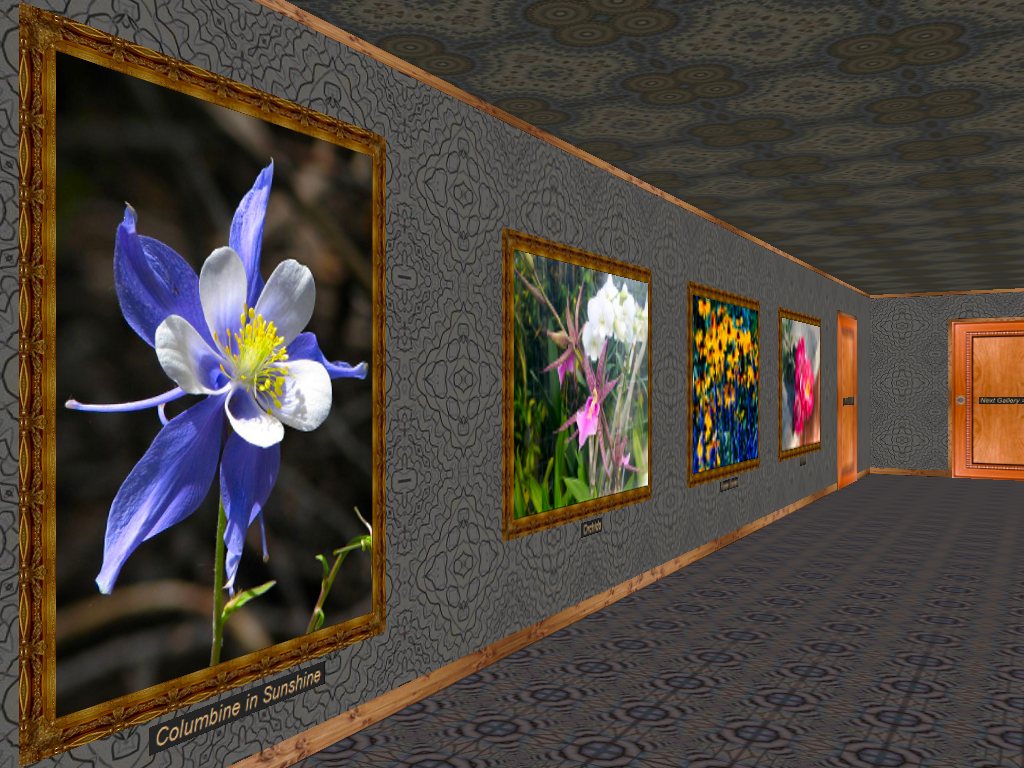 Click to view Phota Flowers Screensaver 4.0 screenshot