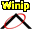 Winip icon