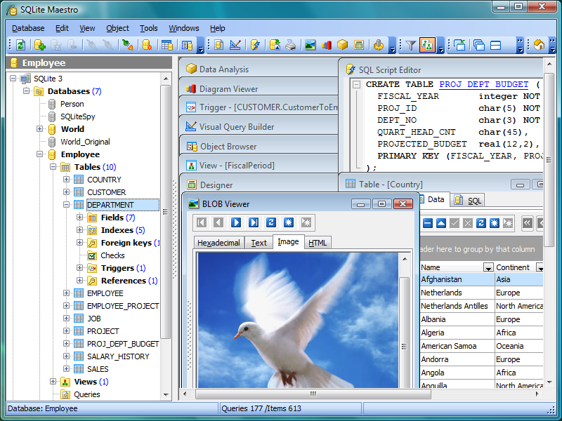 Click to view SQLite Maestro 12.1 screenshot