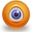 Bitsoft Webcam Wizard icon