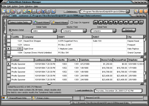Click to view NativeWinds Database Manager 2.0 screenshot
