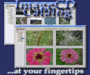 Click to view ImageCD Catalog 3.2 screenshot