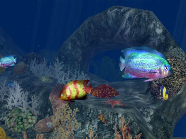 Click to view 3D Aquatic Life Screensaver: Fish! 1.1.0 screenshot