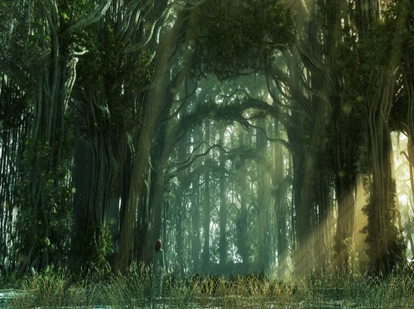 Click to view Dark Forest Animated Wallpaper 1.0.0 screenshot