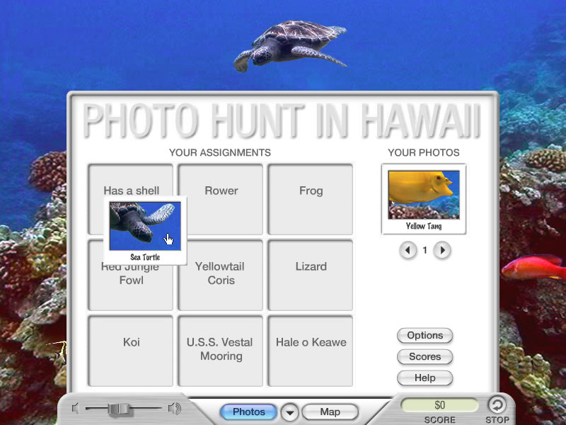 Click to view Photo Hunt in Hawaii 1.0 screenshot
