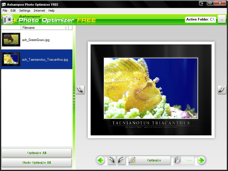 Click to view Ashampoo Photo Optimizer FREE 1.20 screenshot