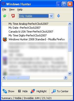 Click to view Windows Hunter 2008 Standard 1.0.0.8 screenshot