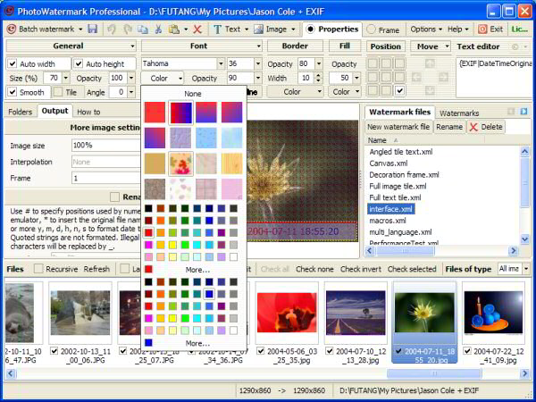 Click to view PhotoWatermark Professional 5.0.5.0 screenshot
