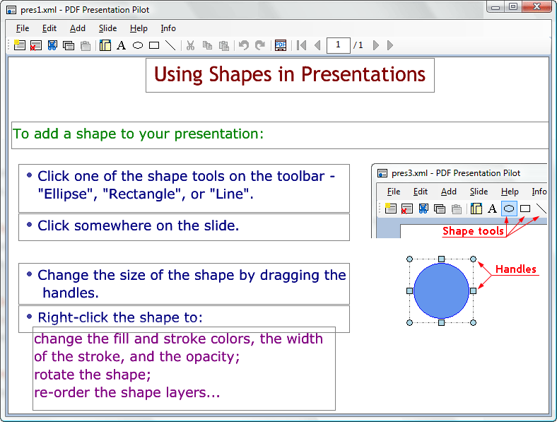 Click to view PDF Presentation Pilot 1.1 screenshot