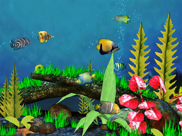 Click to view Fish Aquarium 3D Screensaver 1.4 screenshot