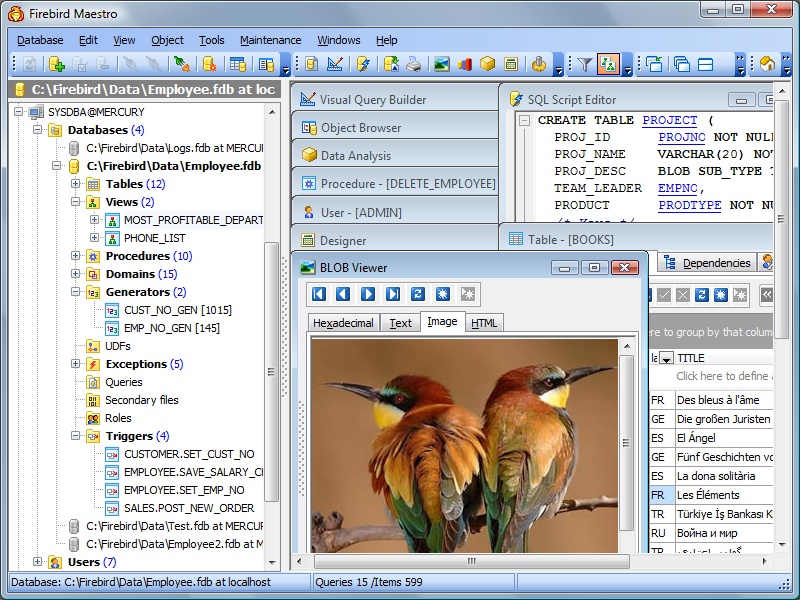 Click to view Firebird Maestro 14.1 screenshot