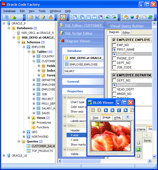 Click to view Oracle Code Factory 13.9 screenshot