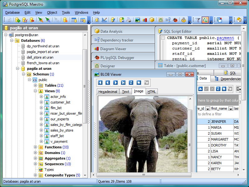 Click to view PostgreSQL Maestro 14.4 screenshot