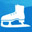 Freeware .NET Obfuscator Skater Light icon