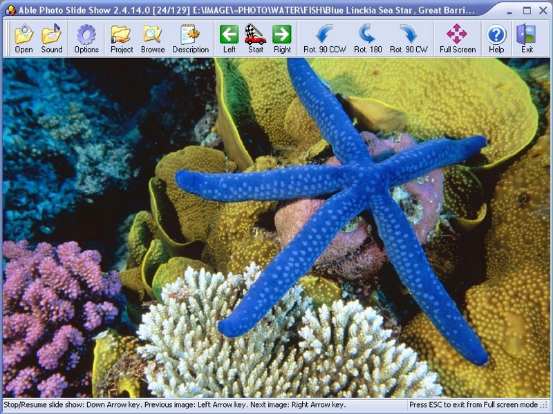 Screenshot for Able Photo Slide Show 2.9.6.8