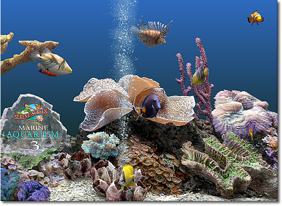 Click to view Marine Aquarium 3.0 screenshot