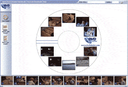 Click to view DVD Labeler 3.00.0011 screenshot