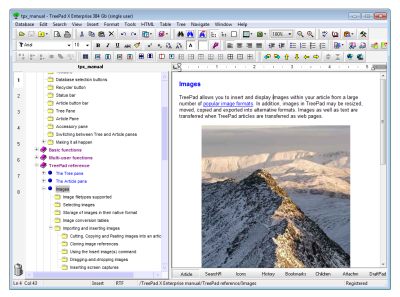 Click to view TreePad X Enterprise 384 Gb single-user 7.17 screenshot