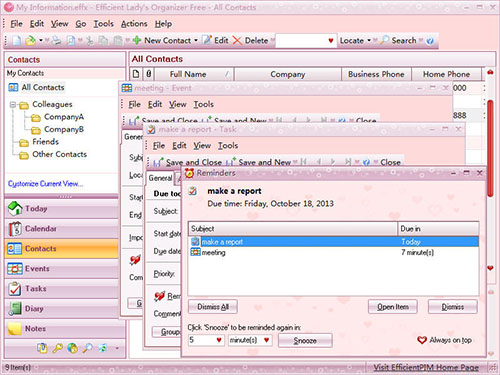 Click to view Efficient Lady's Organizer Free 3.71.0.371 screenshot
