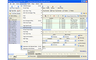 Click to view Mp3 Tag Assistant Professional 2.9.4.335 screenshot