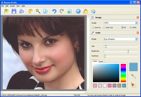 Click to view AMS Beauty Studio 1.87 screenshot
