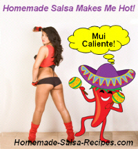 Click to view Salsa Recipes 1.00 screenshot