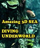 Click to view Amazing 3D Sea -  Diving Underworld 1.2 screenshot